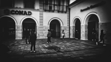 IMG_2537.jpg
